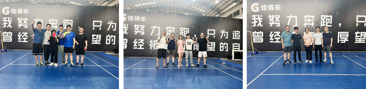 羽毛球赛 羽毛球赛